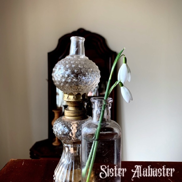 Meet your Posher, Karli🕸 - Picture 7 of 7